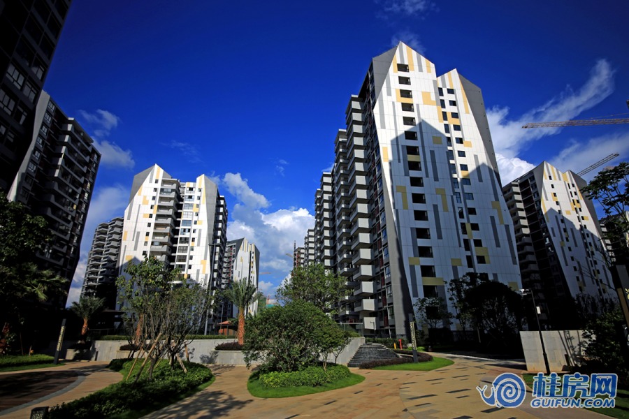 信昌棠棣之华实景图（2020.4）