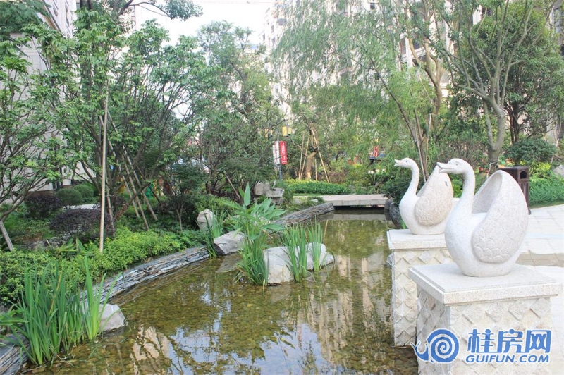 2014年6月实景图