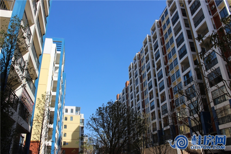 一品尚城实景图（2014.12.16）