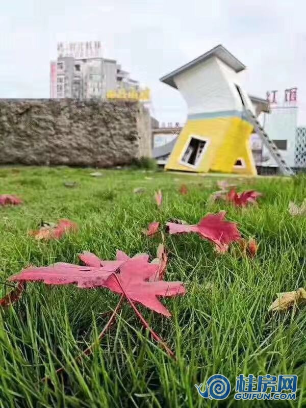 时代枫林实景图（2019.3.4）