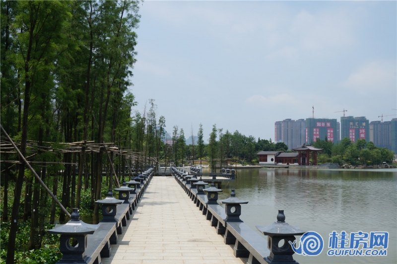 麓湖国际周边配套-中央公园（2015.6.23）