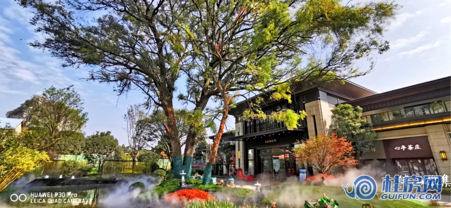 伴山雅集实景图（2019.11）