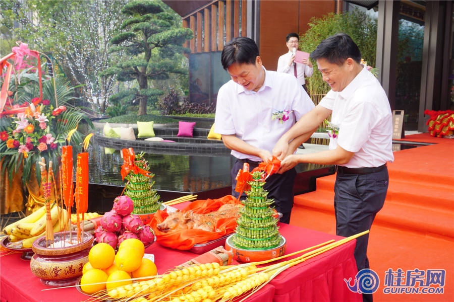 彰泰中央城营销中心开放（2018.8.11）
