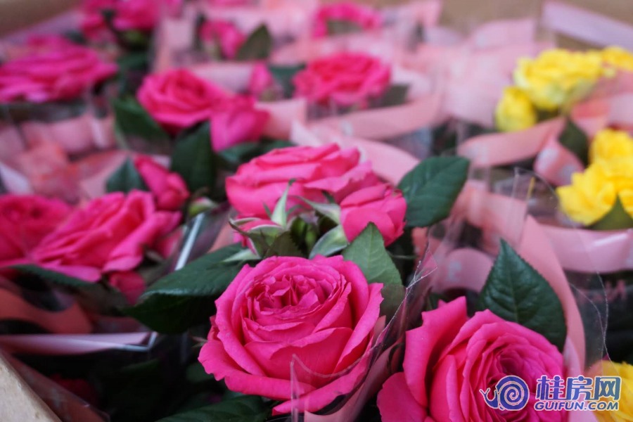 微信图片_20190401170551