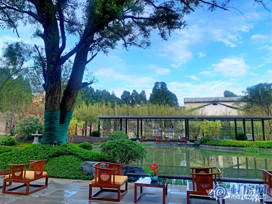 伴山雅集实景图（2019.11）