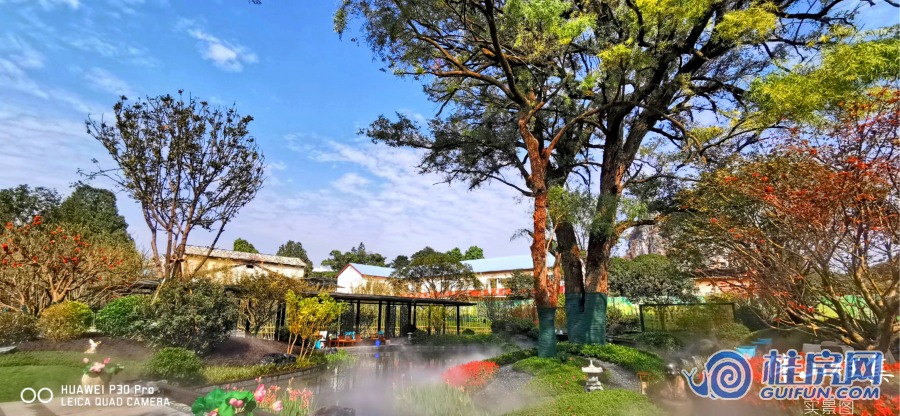 伴山雅集实景图（2019.11）