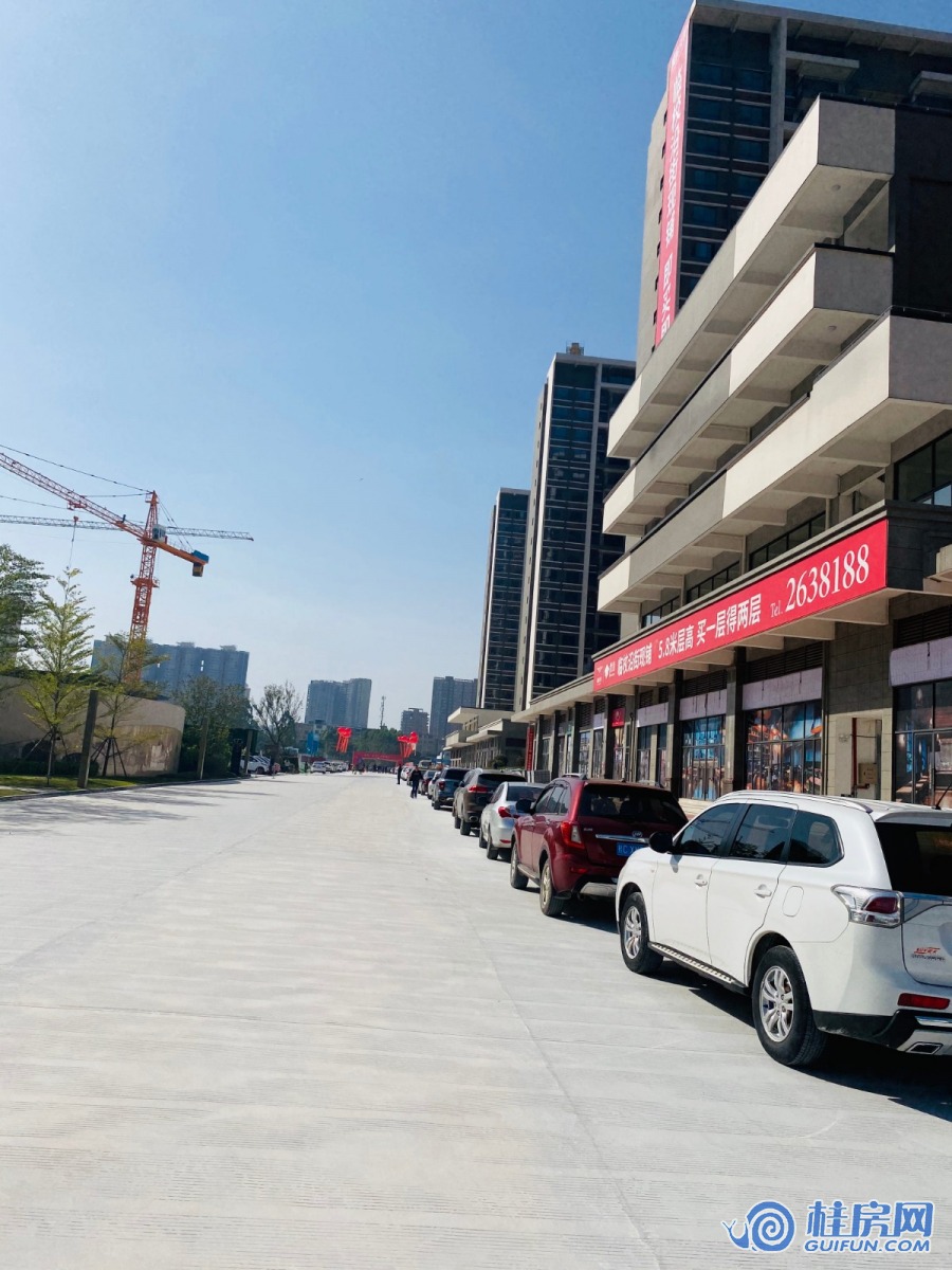 顺祥天骄实景图