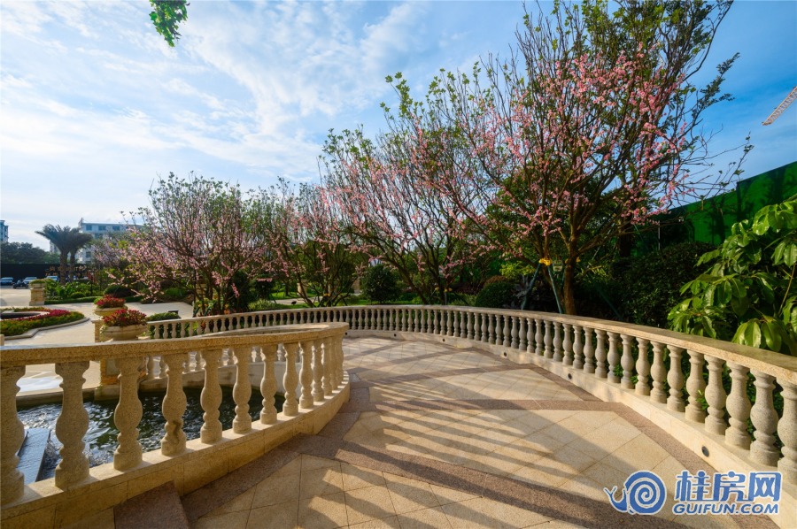 兴进锦城实景图（2020.9）