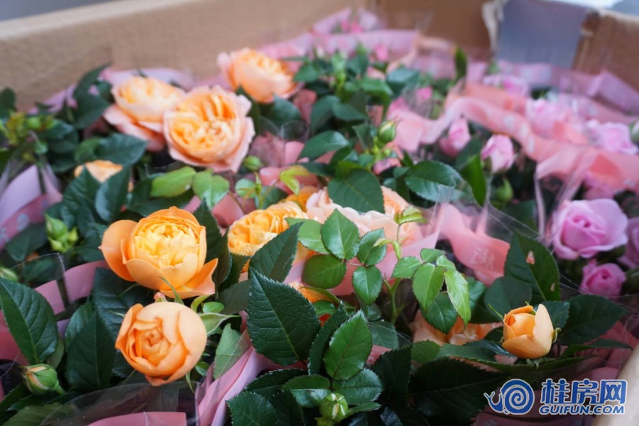 微信图片_20190401170558