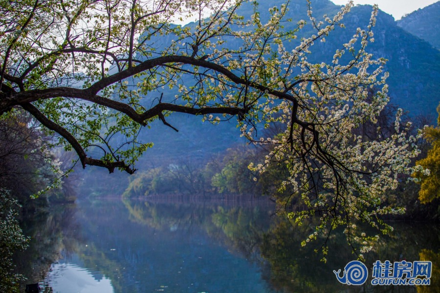 桃花江实景图