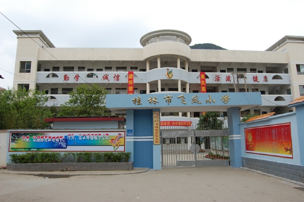 飞凤小学