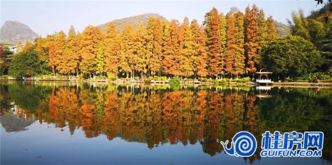 图片8_副本.png?x-oss-process=image/format,jpg/auto-orient,1/quality,Q_93