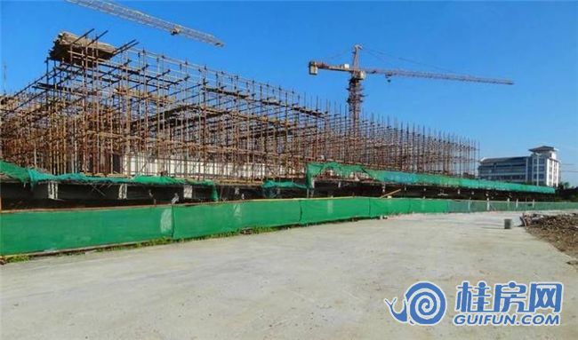 图片11_副本.png?x-oss-process=image/format,jpg/auto-orient,1/quality,Q_93