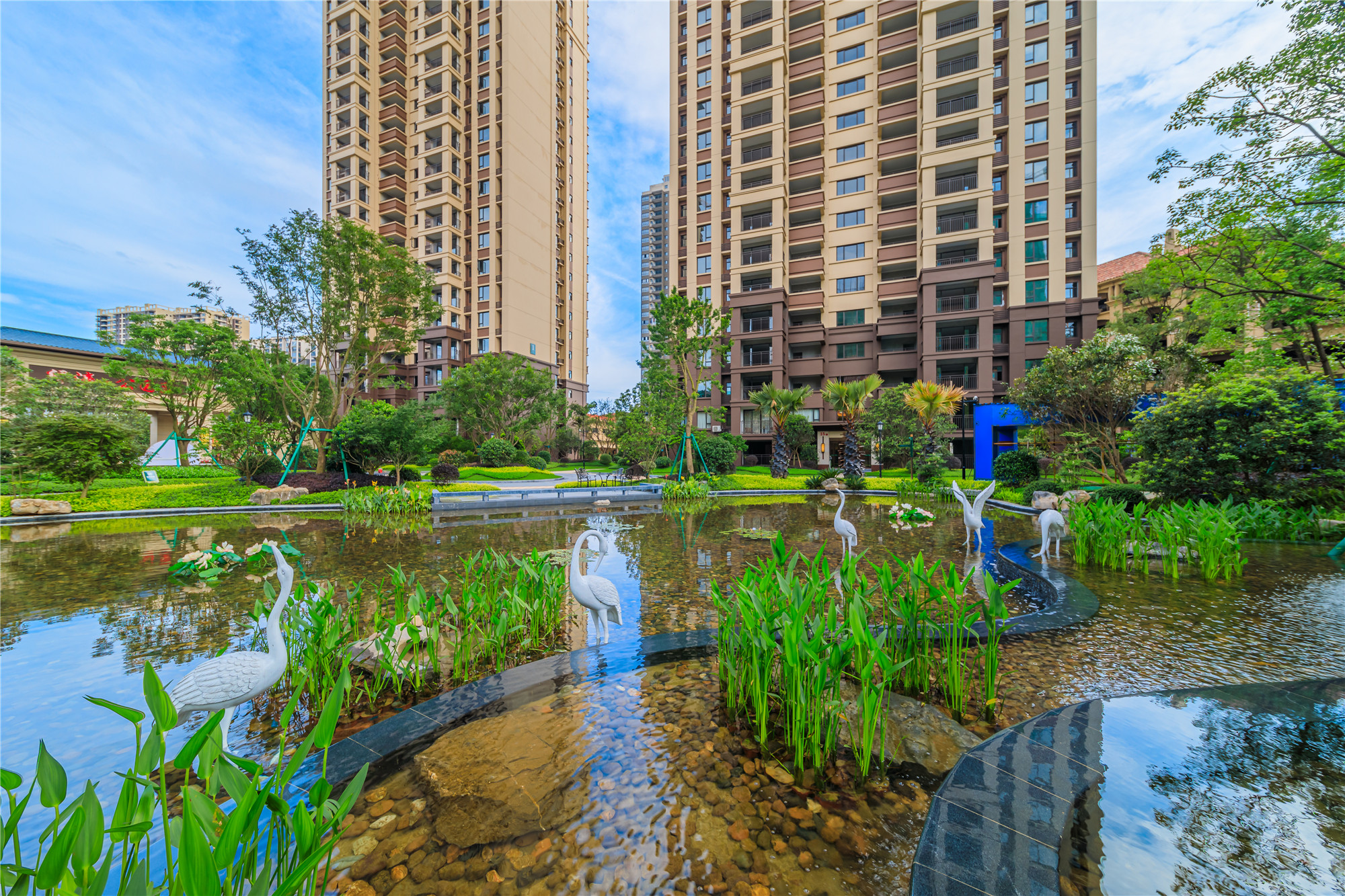 绿涛公园里实景图