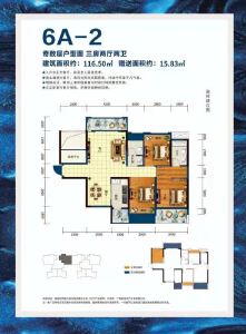 极佳天悦城6A-2户型