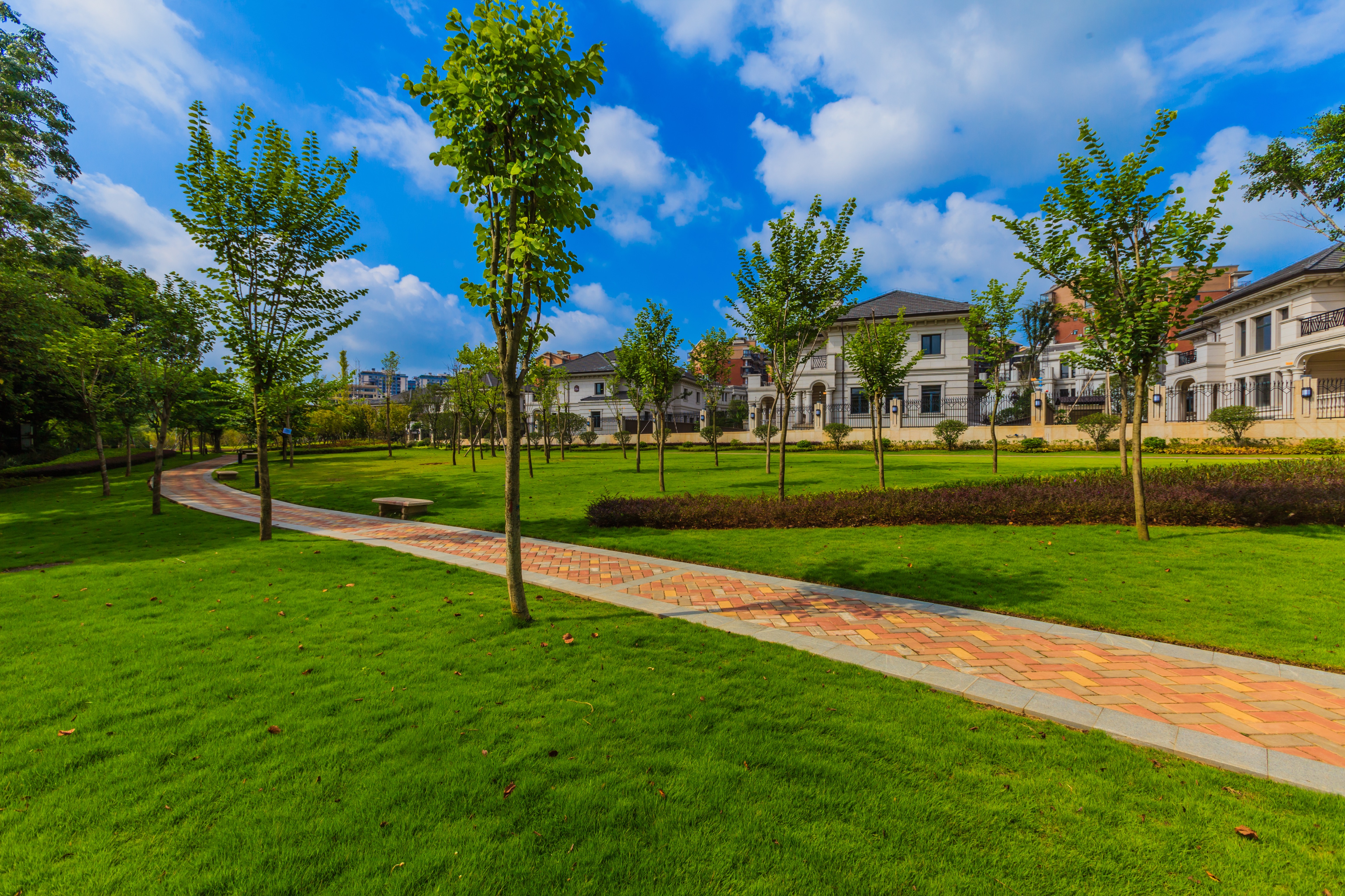 滨江半岛公园实景图