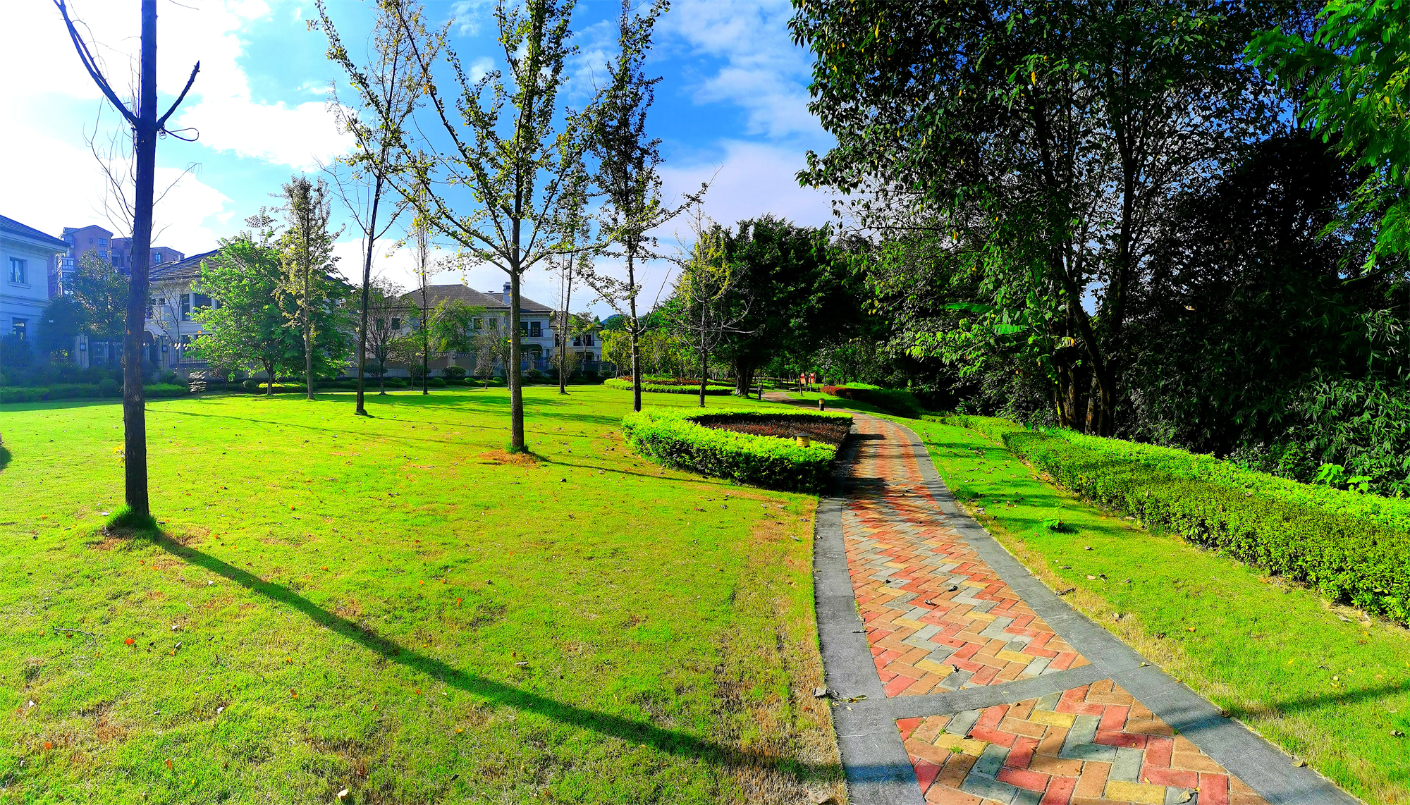 滨江半岛公园实景图