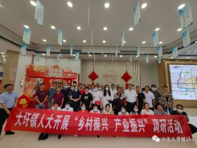 灵川县促进“两个振兴”看房直通车——九屋镇、大圩镇、兰田乡三车齐发