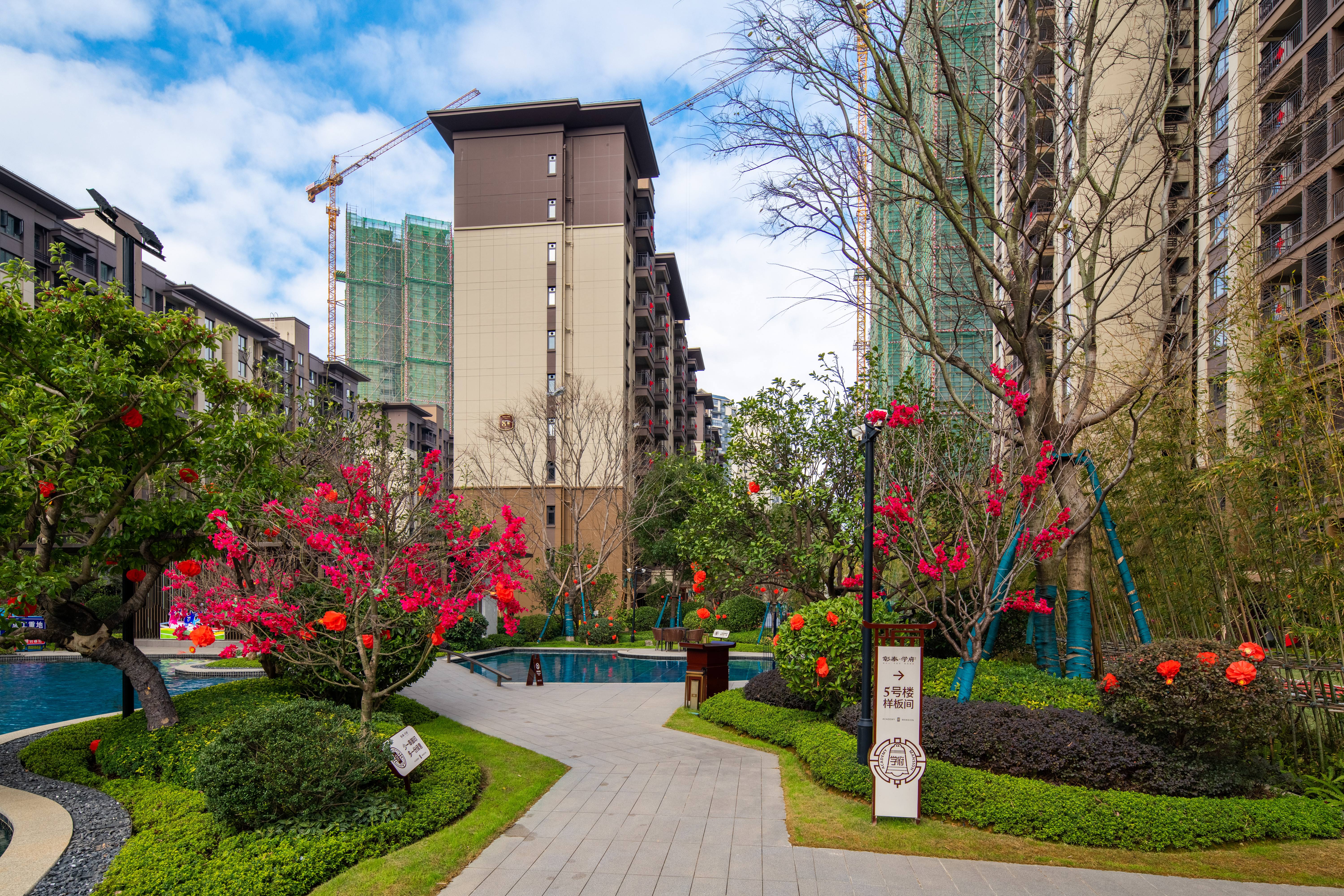 彰泰学府园林实景图（2022.7）