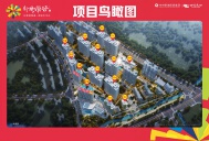 新衡学谷鸟瞰图