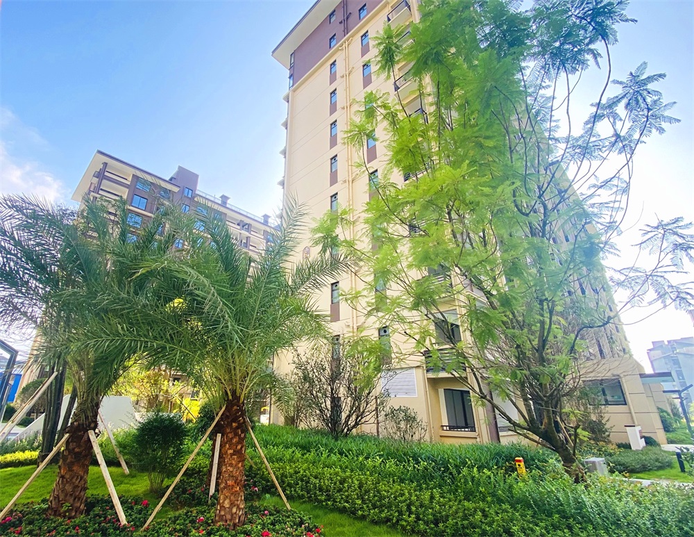 金地怡和佳苑实景图（2023.9）