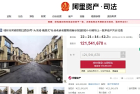 1.2个亿！桂林32套“高价”江景房被拍卖